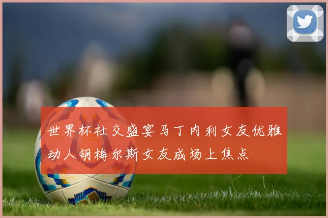 世界杯社交盛宴马丁内利女友优雅动人胡梅尔斯女友成场上焦点