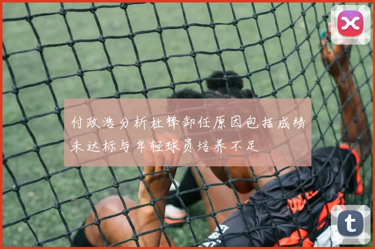 付政浩分析杜锋卸任原因包括成绩未达标与年轻球员培养不足